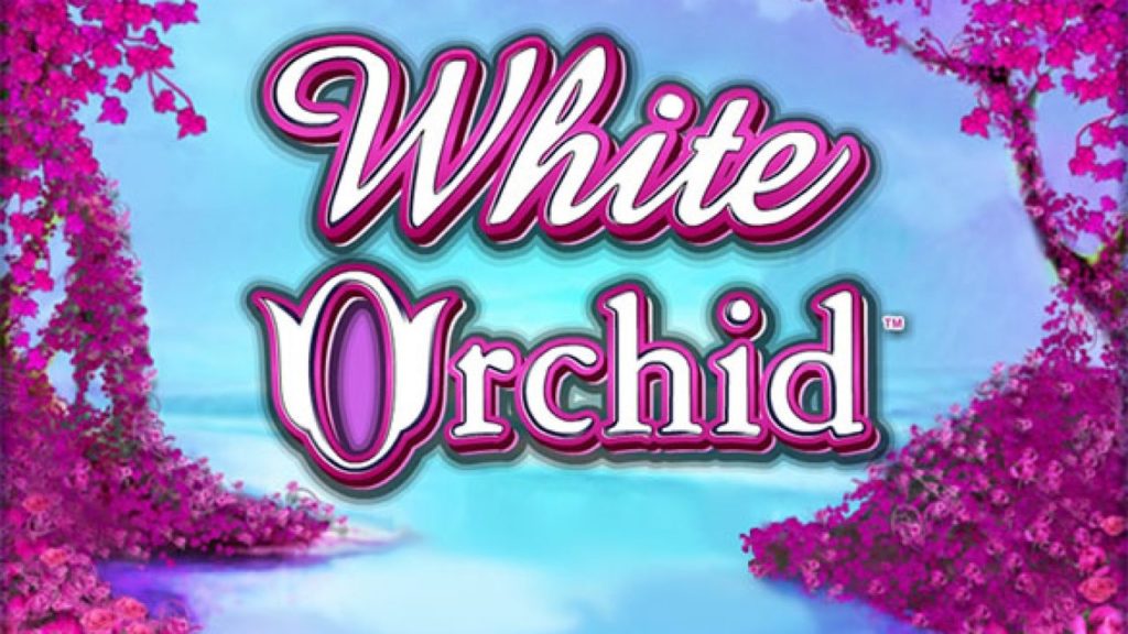Logo de la machine à sous White Orchid