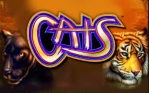 Logo de la machine à sous cats