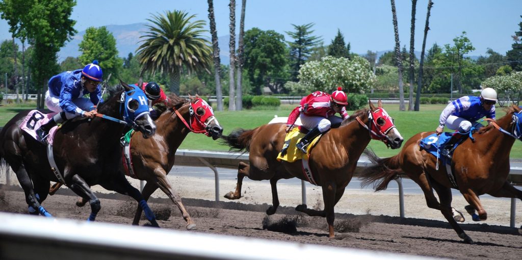 course de quarter horse