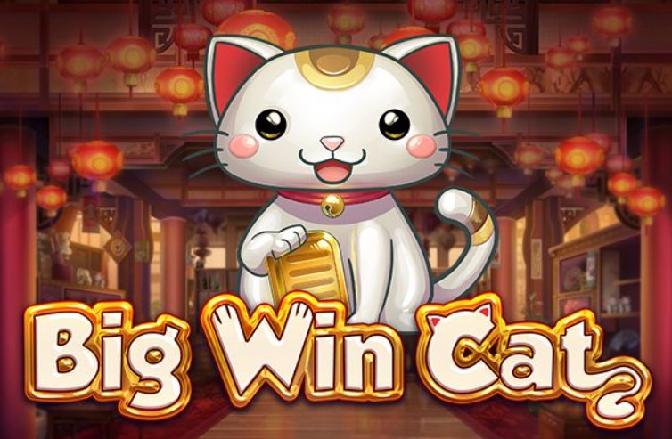 Logo de la machine à sous Big Win Cat