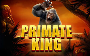 Logo de la machine à sous Primate King